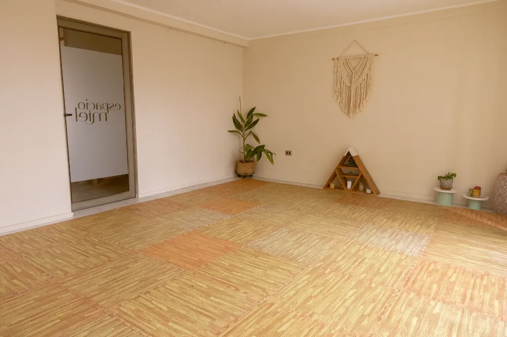Sala panal.webp